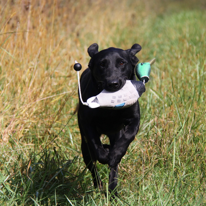 HuntEmUp Premium Duck Dog Training Dummy Mallard Bumper for Retrievers