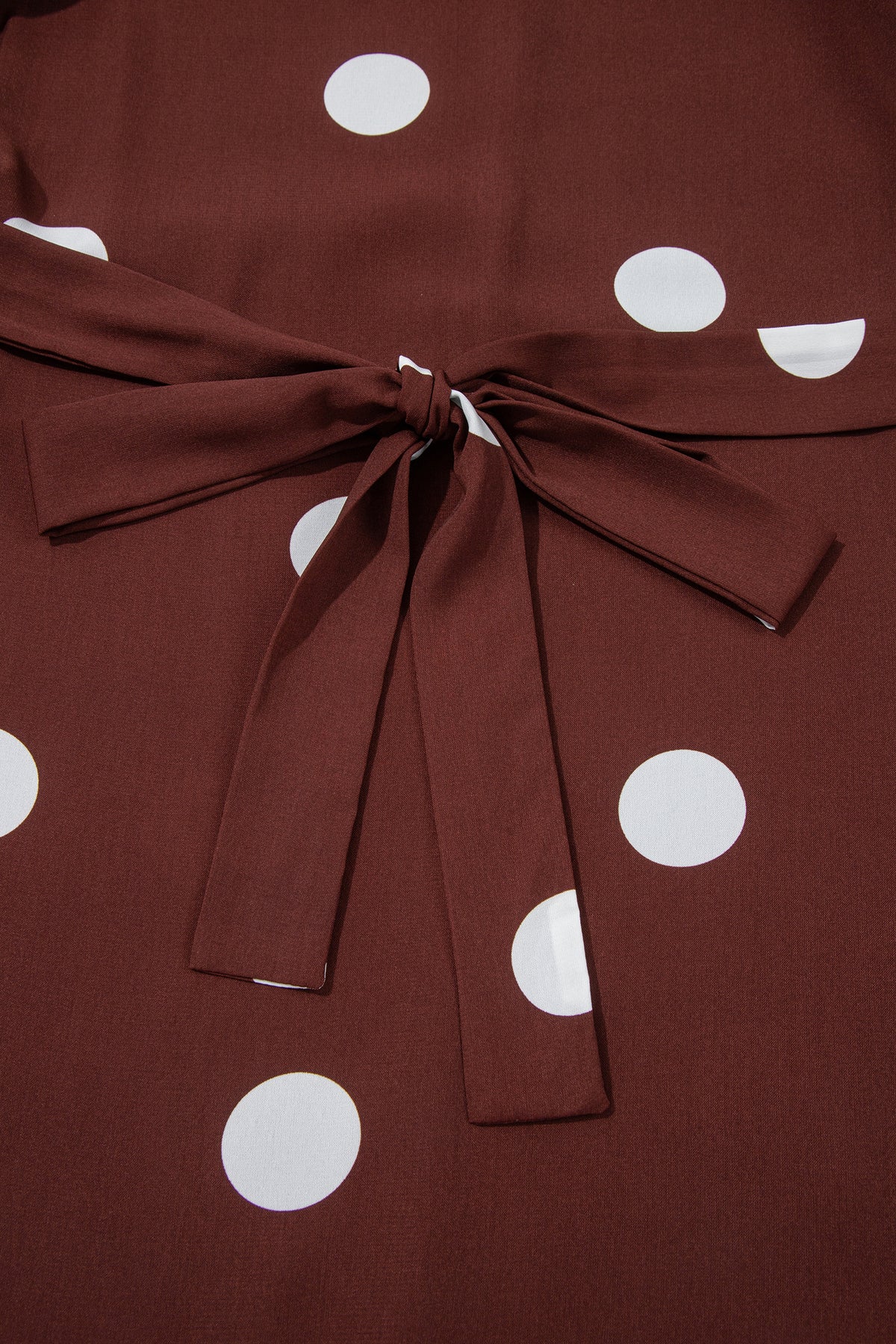 Brown Polka Dot Tie-Waist Dress