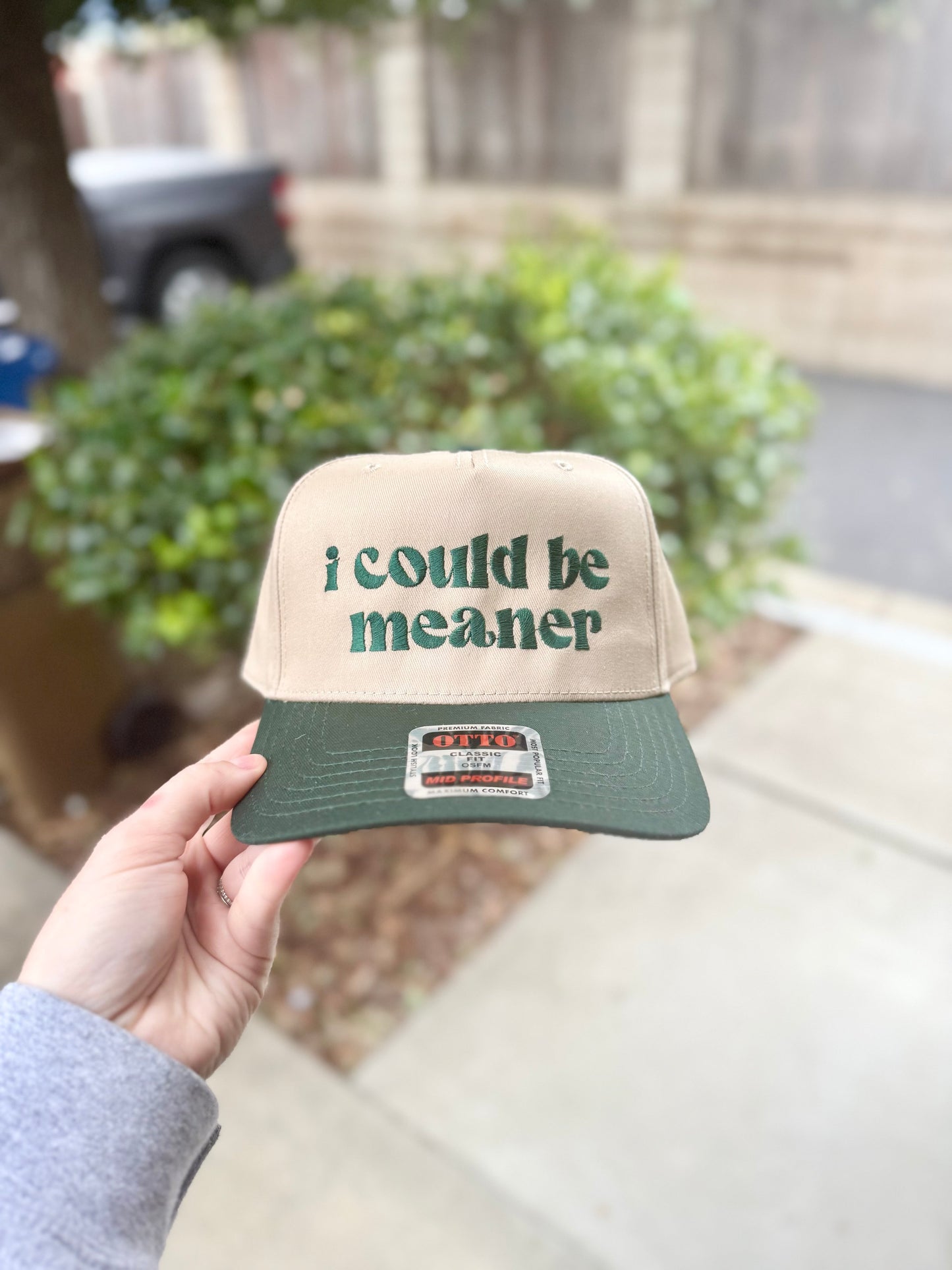 I Could Be Meaner Embroidered Hat