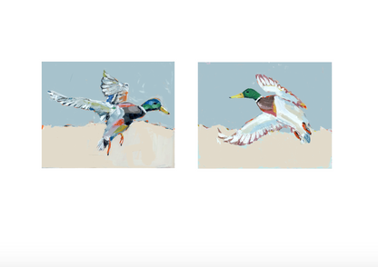 Take Flight Mallard Duck Fine Art Prints