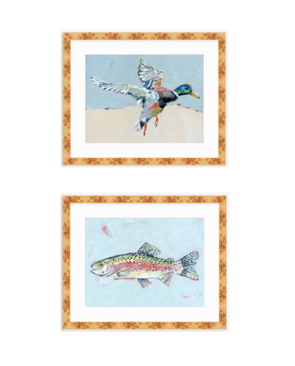 Shore Searching Mallard And Fish Fine Art Print