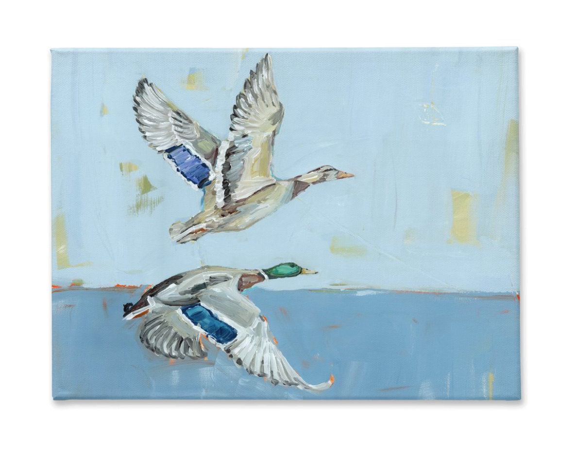Soaring High Ducks Canvas Print