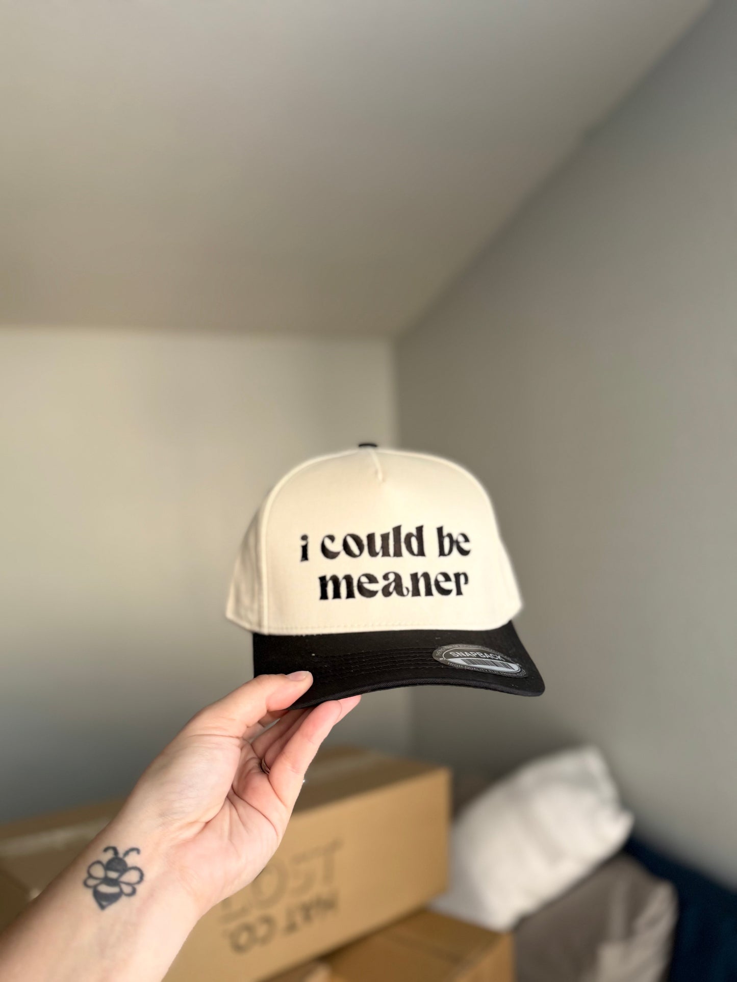 I Could Be Meaner Embroidered Hat