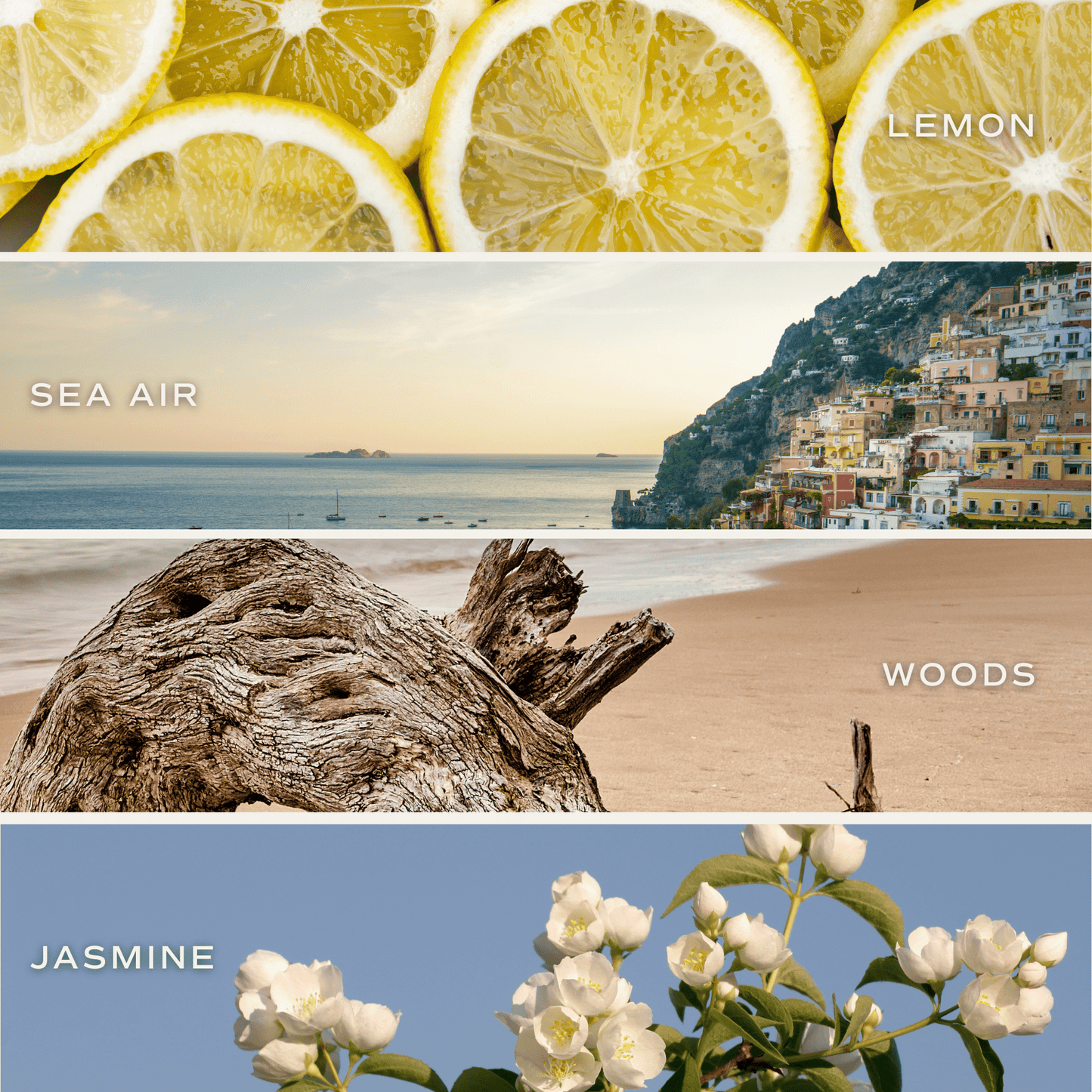 Coastal Lemon Soy Candle - Blue Matte Jar - 15 oz