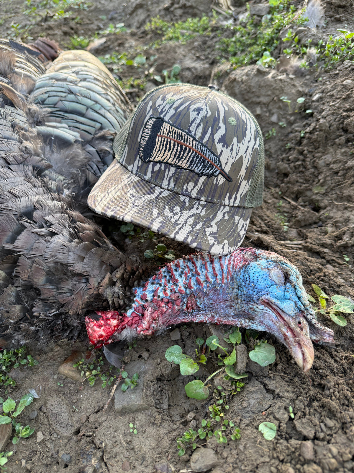Whitetail Co. | Fallen Feather | Tree Bark | 6 Panel