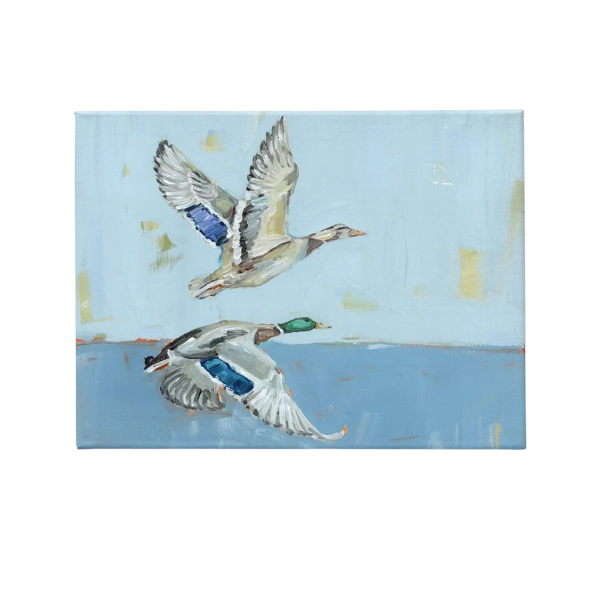 Soaring High Ducks Canvas Print