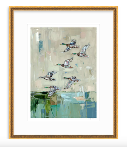 Mallards In Flight Ducks Fine Art Print