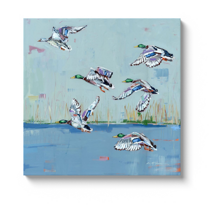 Coastal Mallards Canvas Print
