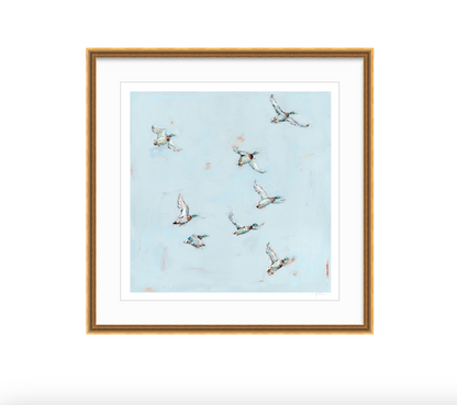 Free Flying Ducks Fine Art Print