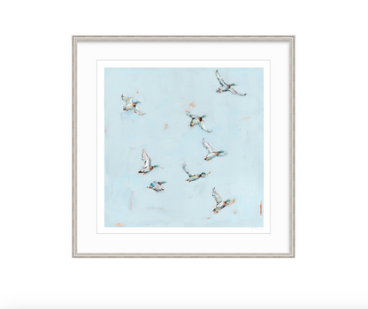Free Flying Ducks Fine Art Print