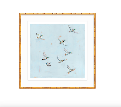 Free Flying Ducks Fine Art Print