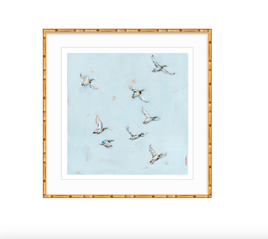 Free Flying Ducks Fine Art Print