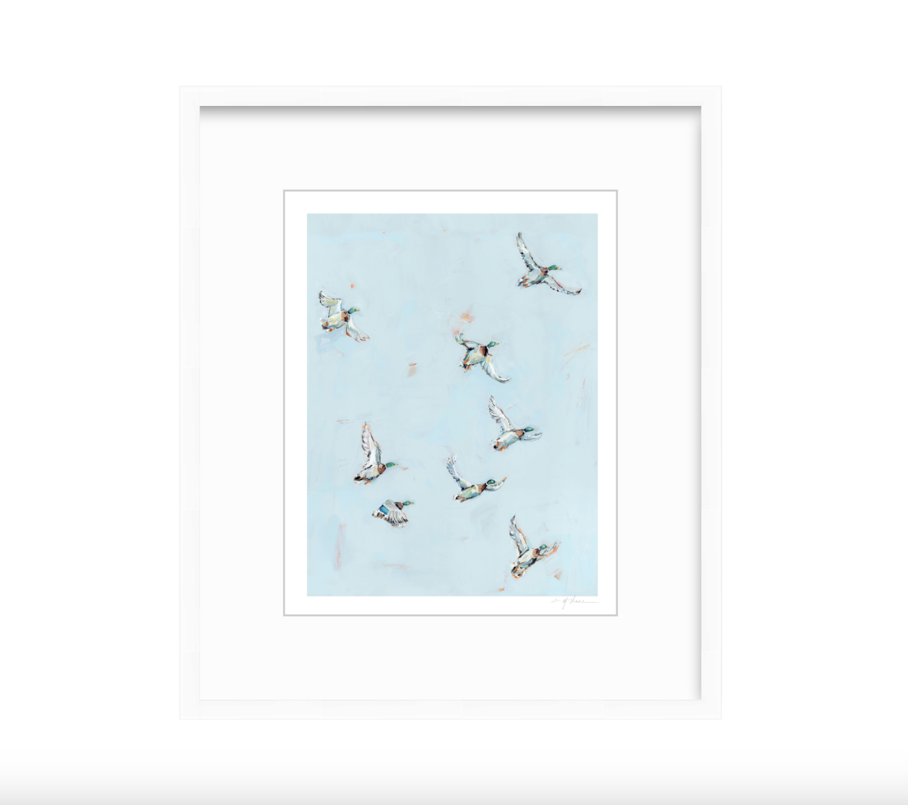 Free Flying Ducks Fine Art Print
