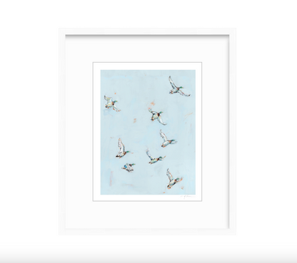 Free Flying Ducks Fine Art Print