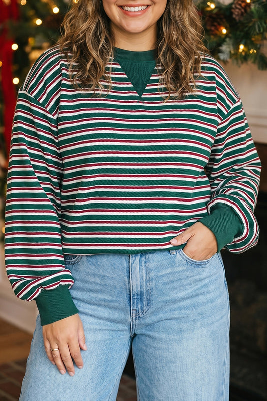 Striped Colorblock Crewneck Sweatshirt