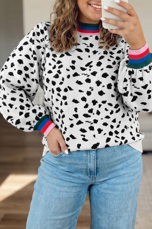 Leopard Colorblock Tunic Sweater