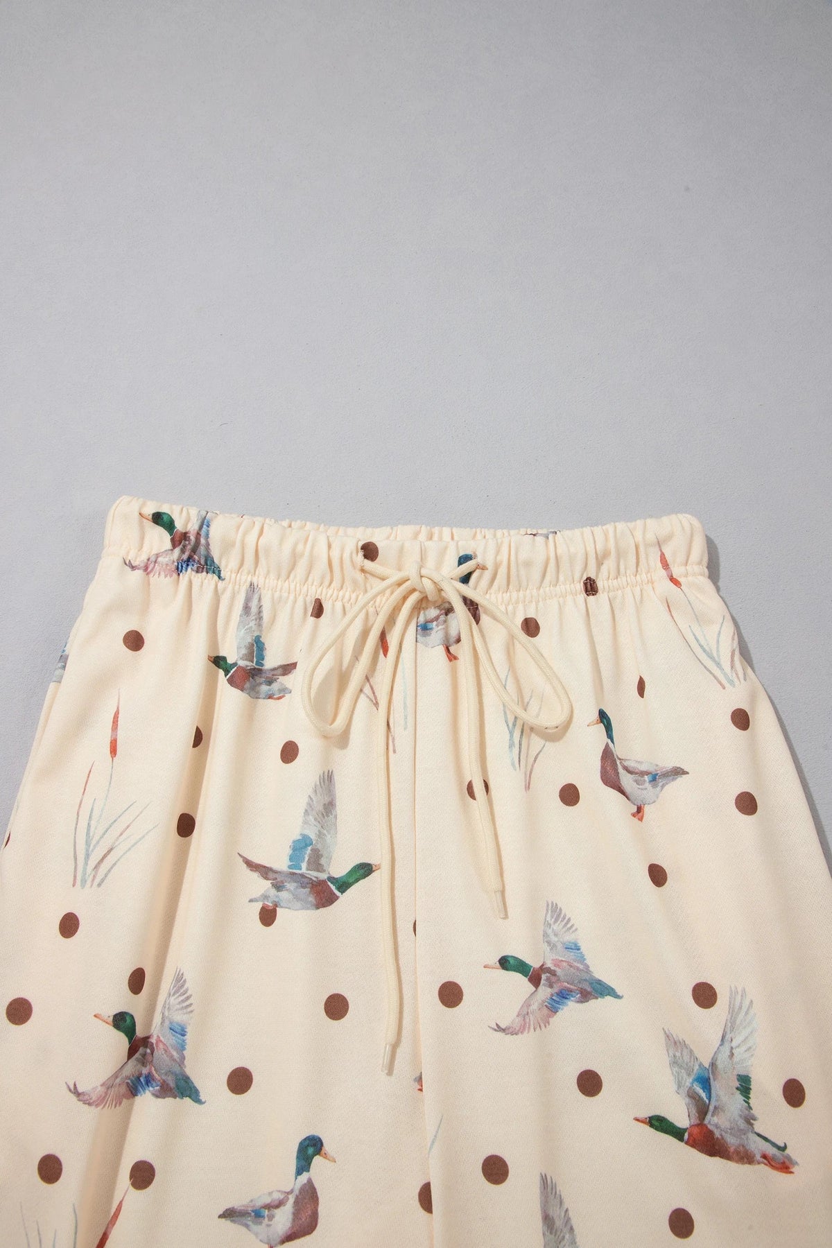 Mallard Polka Dot Sweatshirt & Pants Set